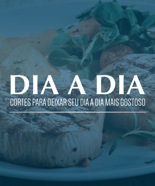 Dia a Dia_botão_Prancheta 1 cópia